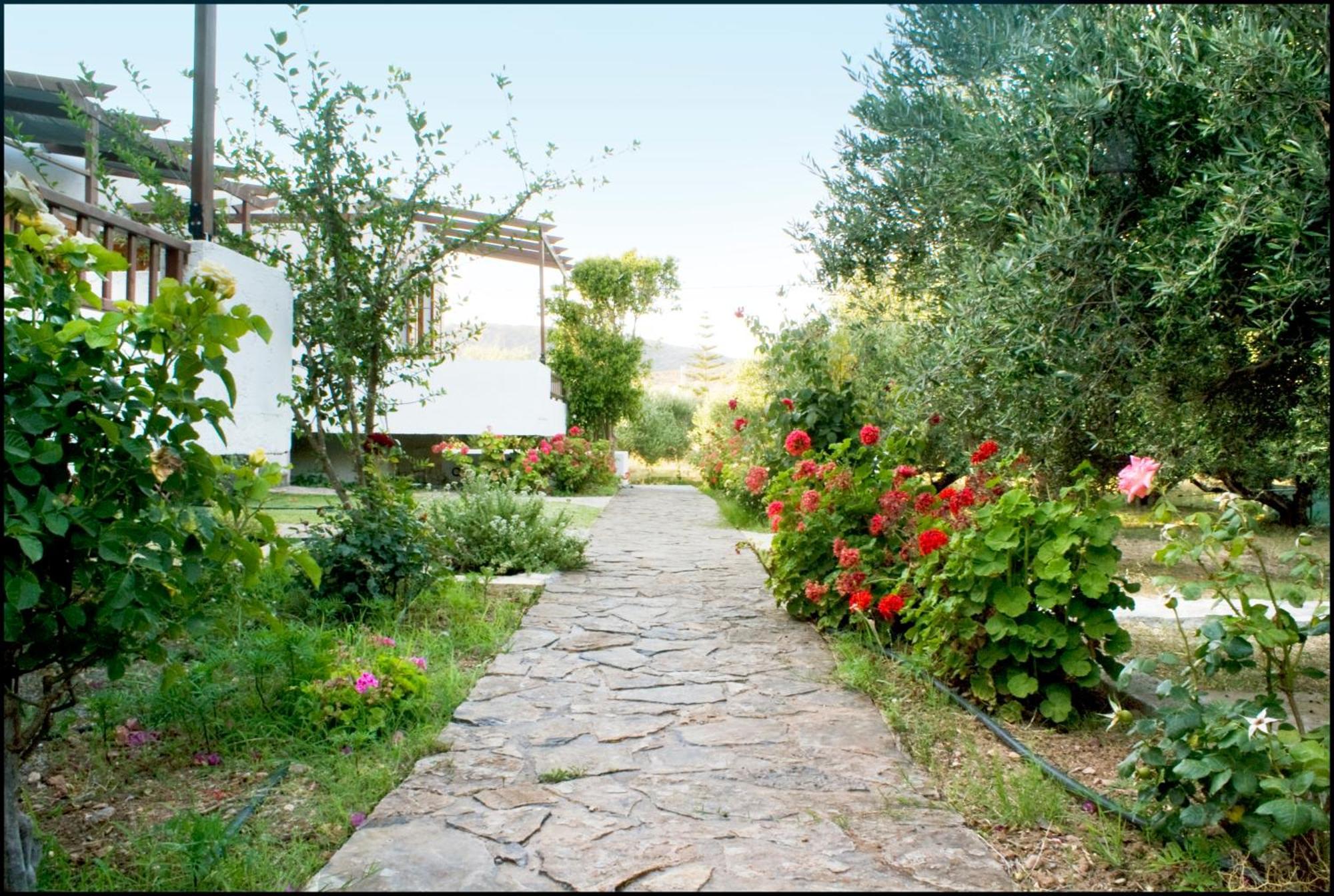 Voula's Casa Di Mare Apartment Palekastro Luaran gambar